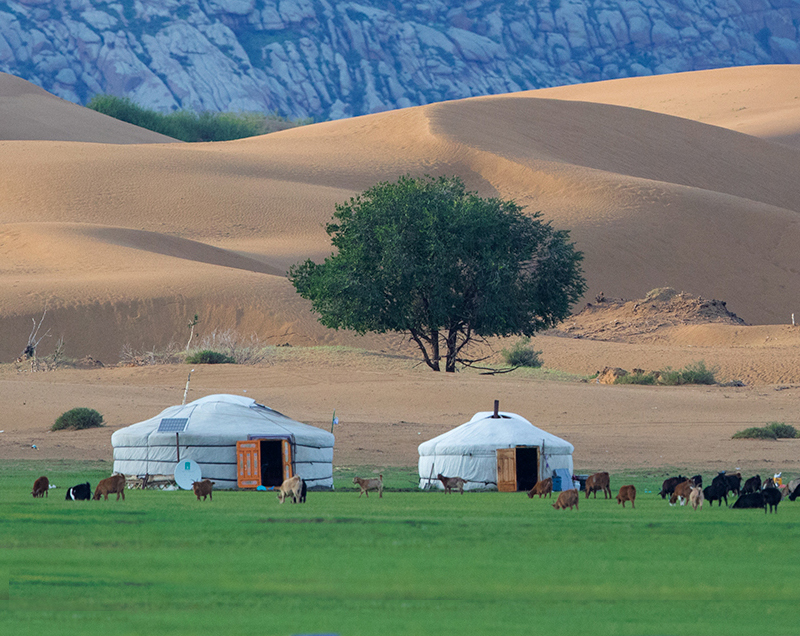 visit mongolia